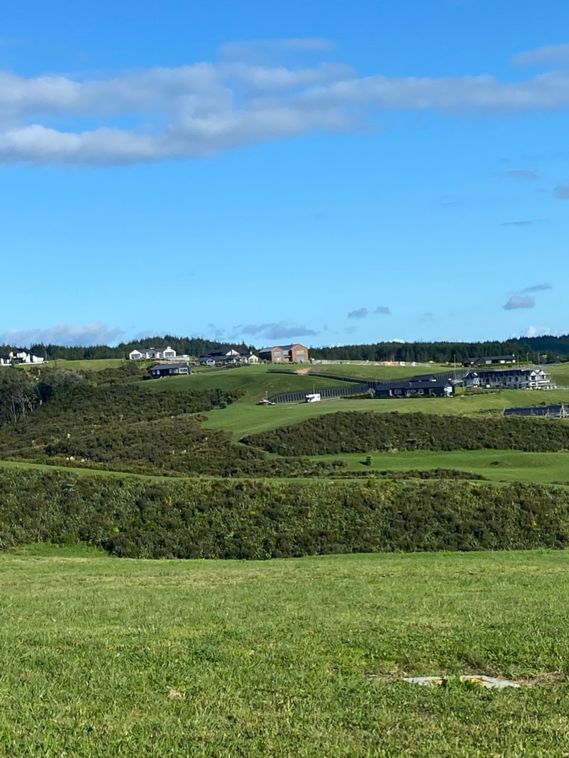 walking near me in Okura Estuary Scenic Reserve in summer
