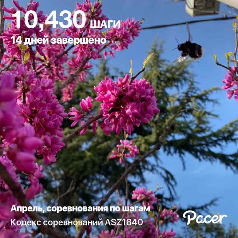 Bolgov Evgeniy post 1