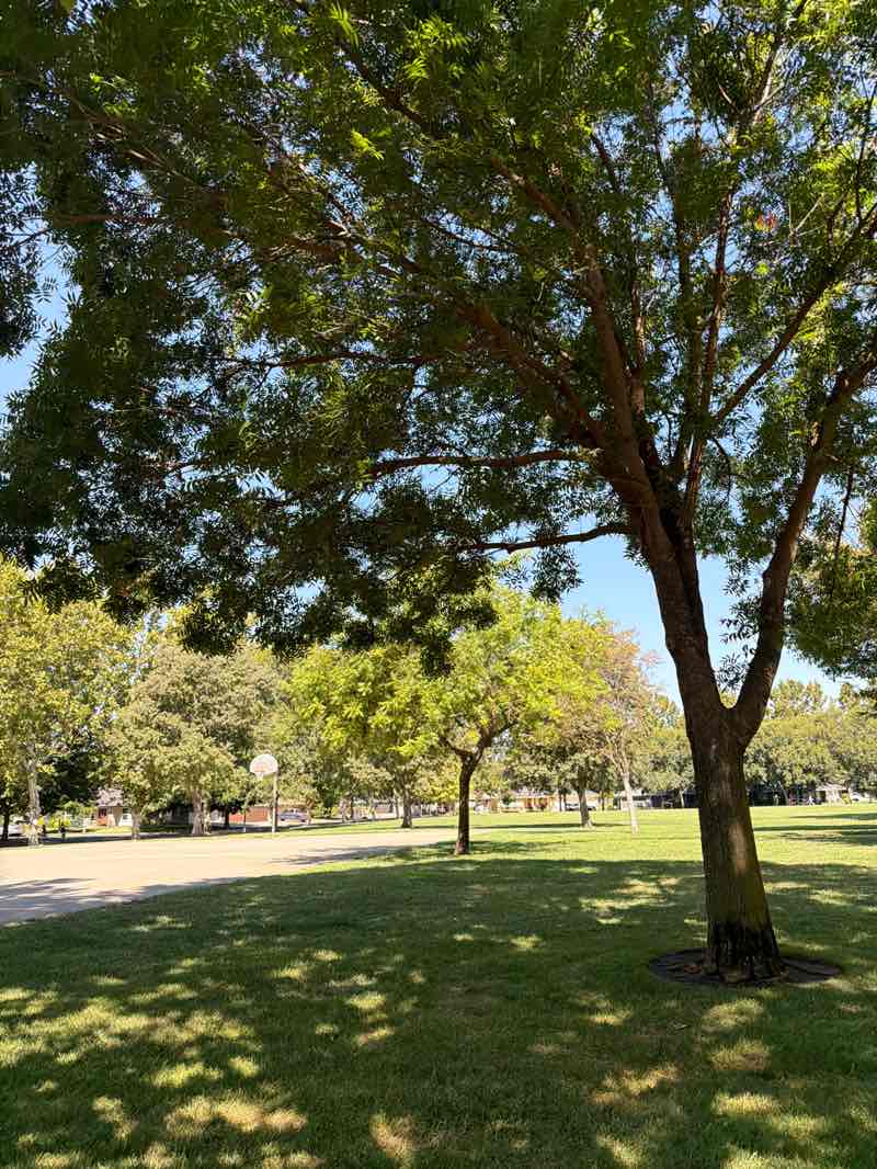 walking near me in Peterson Park in summer