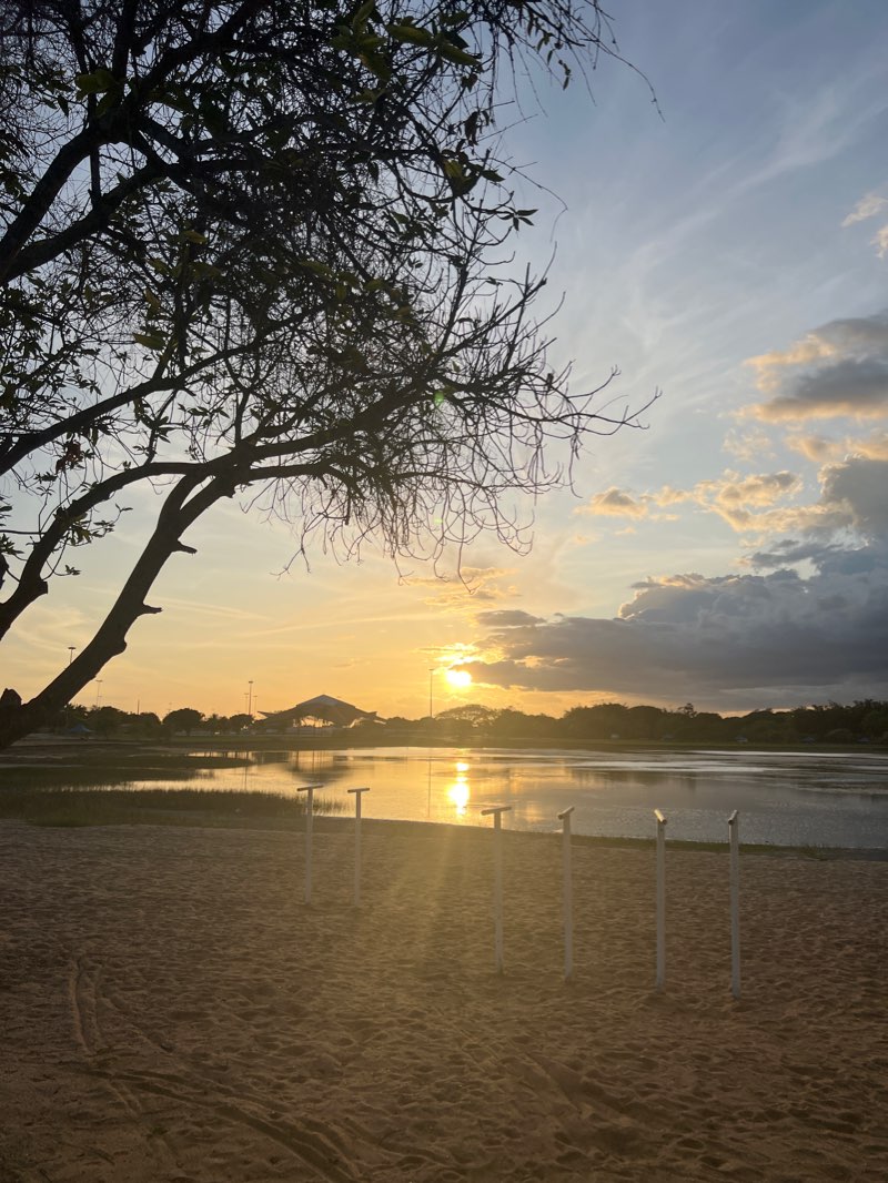 walking near me in Parque Anauá in winter