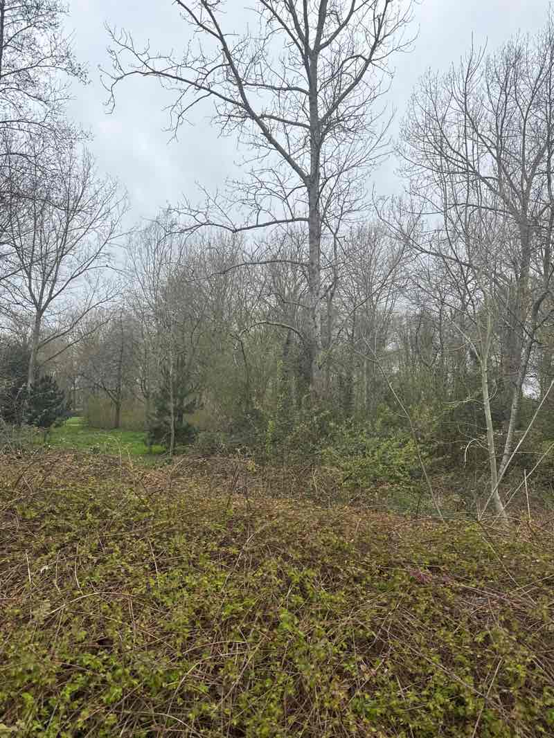 walking near me in Ouzel Valley Park in spring