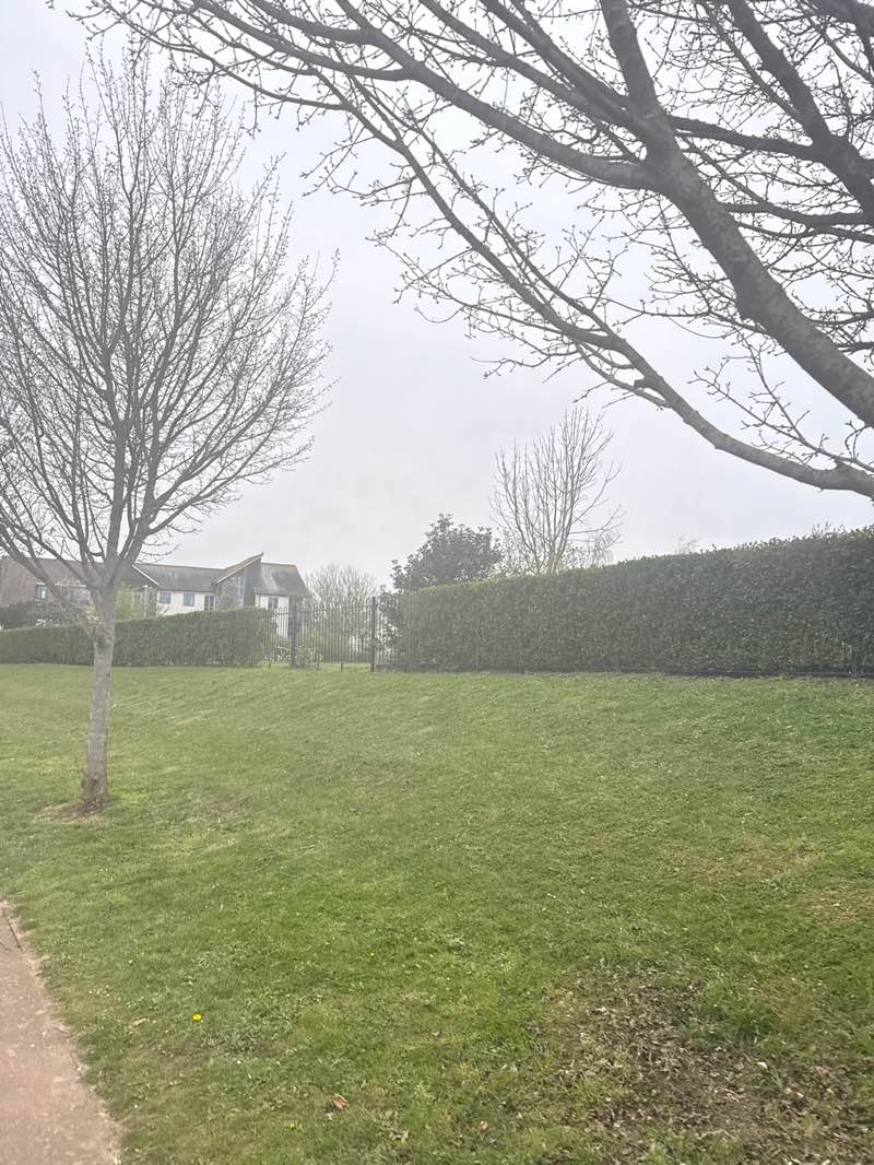 walking near me in Prehistoric Park in spring