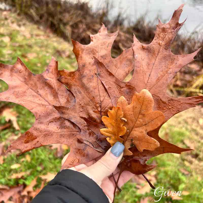 Walking Misfits๐ผ๐ผ๐ผ Gwen post image