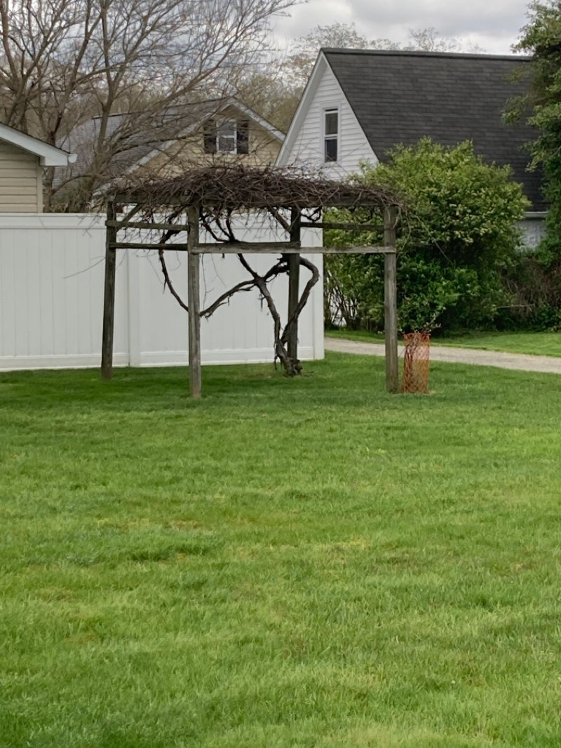 walking near me in Weller Field in winter