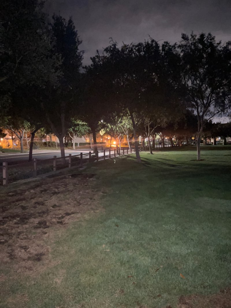 walking near me in Souyen Park in autumn