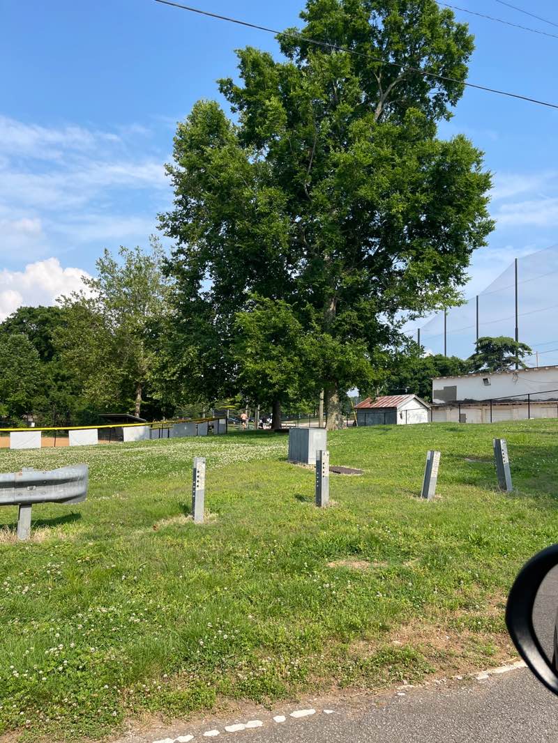 walking near me in McCabe Park in summer