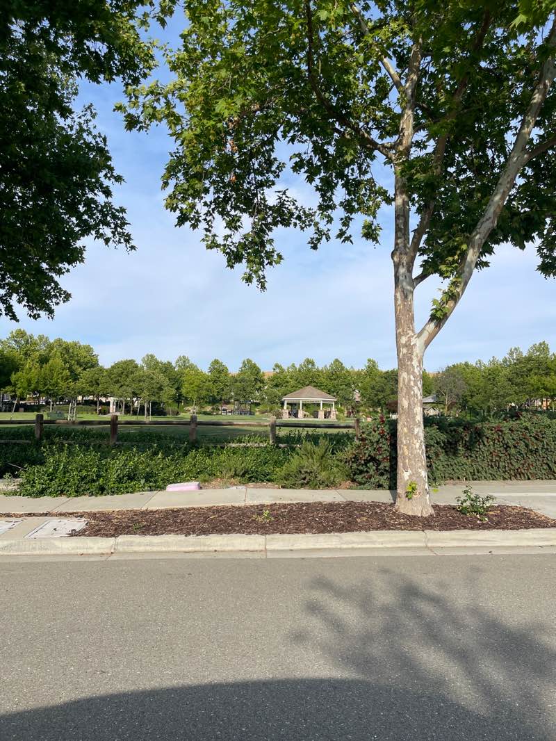 walking near me in Ramona Park in summer