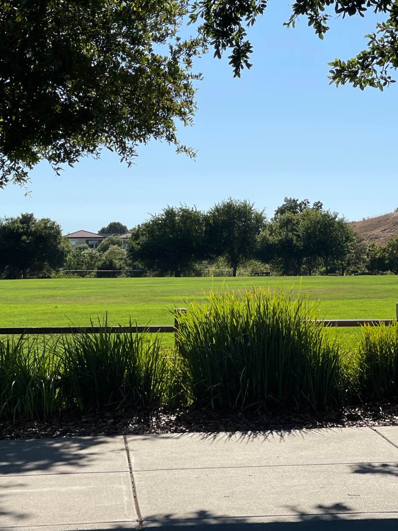 walking near me in Creekside Park in autumn