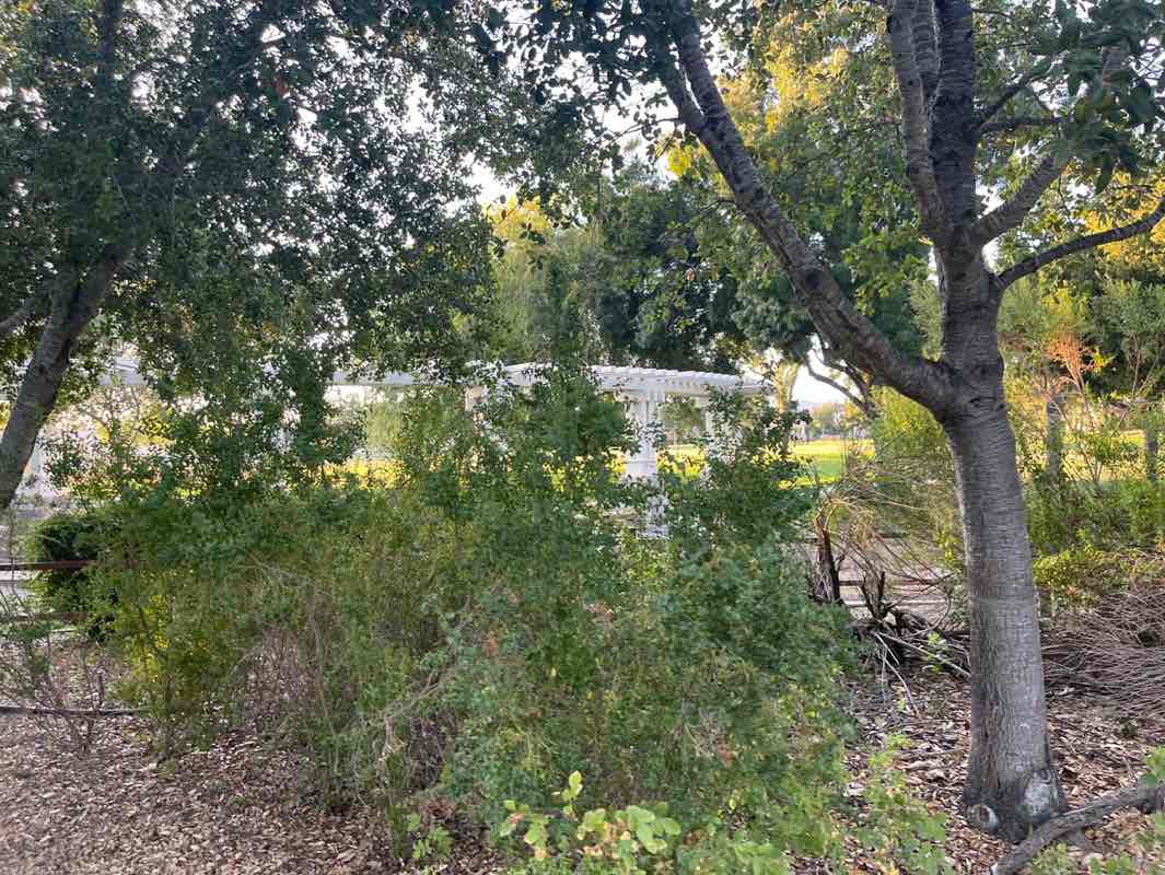 walking near me in East Branch Park in autumn