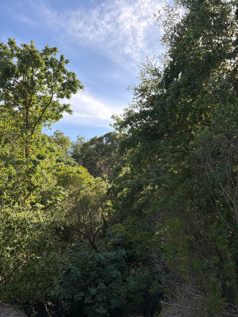 walking near me in Bishop Ranch Regional Open Space Preserve in spring