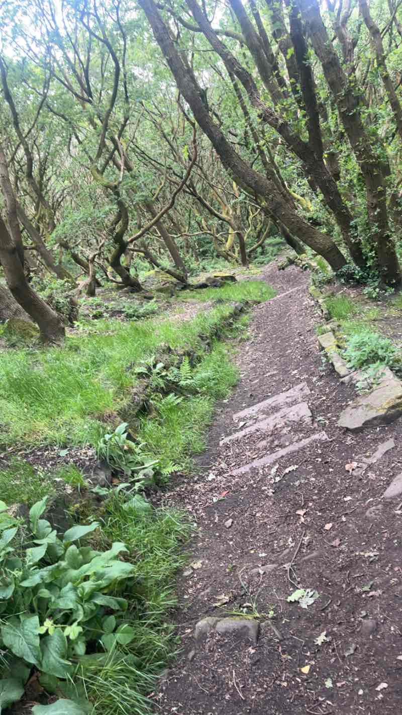 walking near me in Skircoat Moor in summer