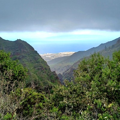 Paseando por los montes de Tenerife  Elisabeth post image