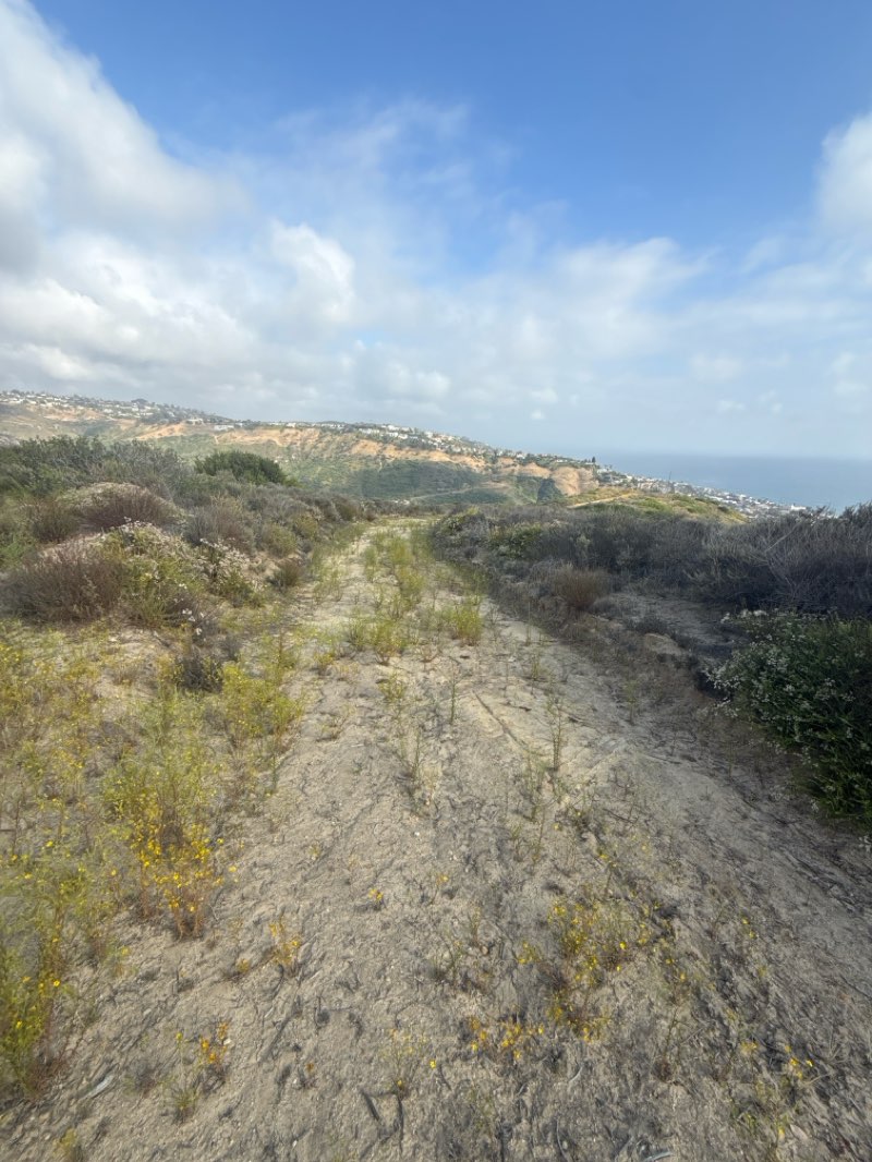walking near me in Aliso and Wood Canyons Wilderness Park in spring