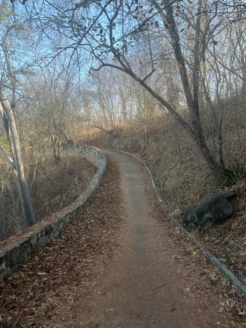 walking near me in Parque Ecologico Rufino Tamayo in winter