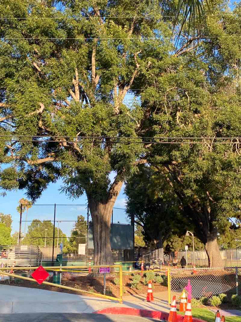 walking near me in Furman Park in autumn