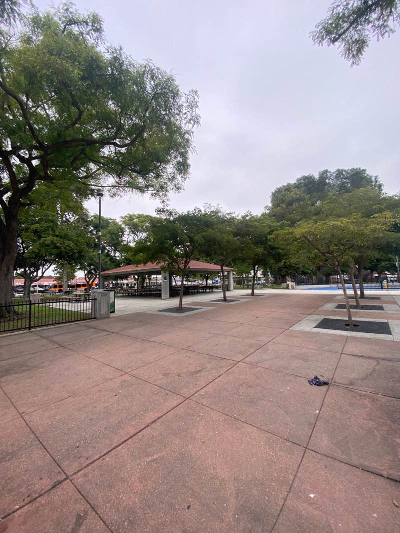 walking near me in Veterans Memorial Park in autumn