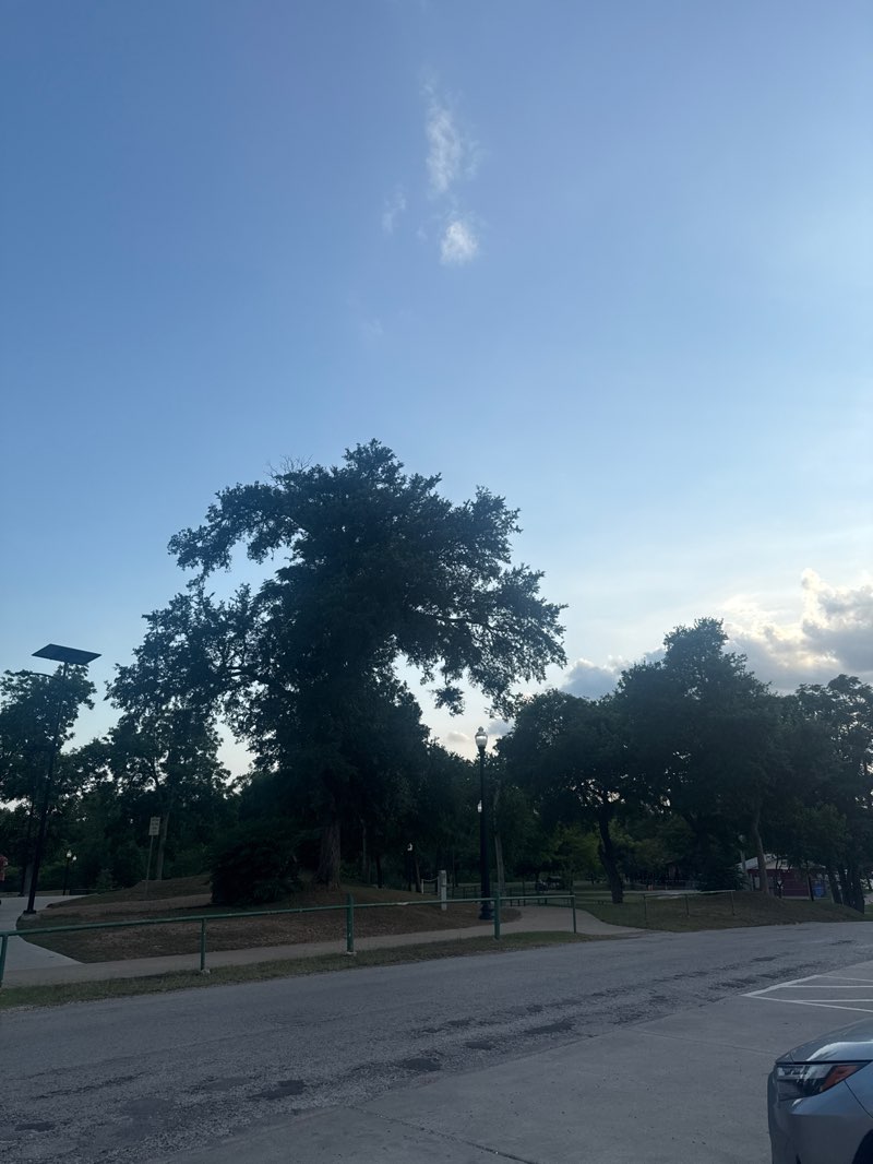 walking near me in Ferry Park in spring