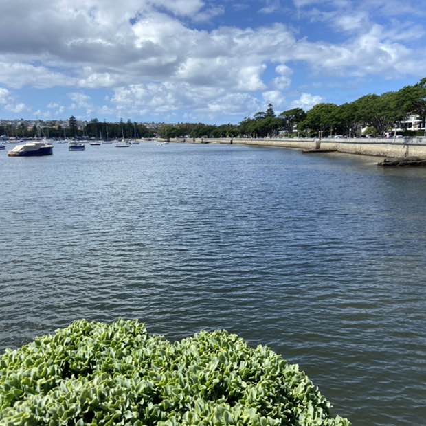 Igor - Team 3 post 1