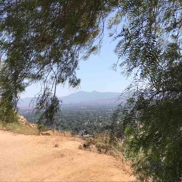 Ryan Bonaminio Park