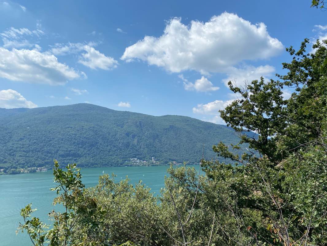 walking near me in San Grato Botanical Park in winter