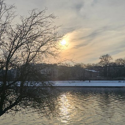 Camminare in buona compagnia...! ESP post image