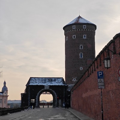 Camminare in buona compagnia...! ESP post image