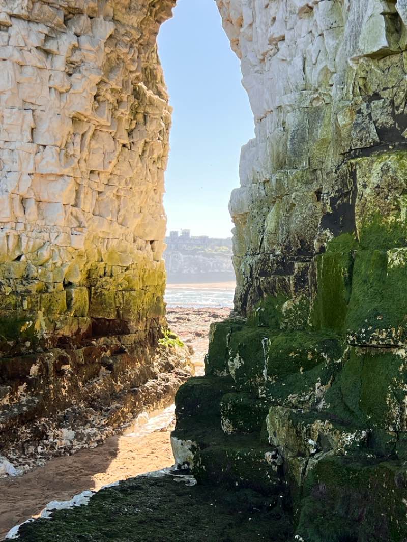 walking near me in King George Ⅵ Park in spring