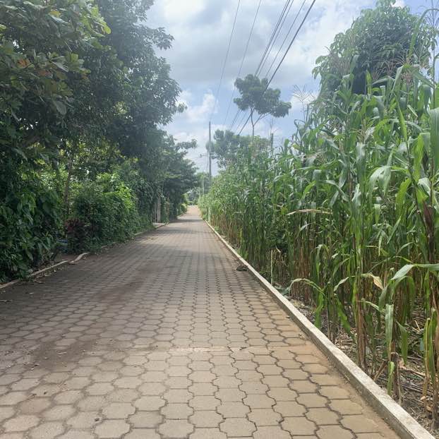 javieroswaldovillatoromorales post 3