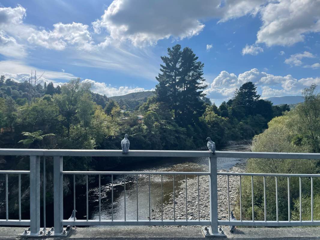 walking near me in Awakairangi Park in summer