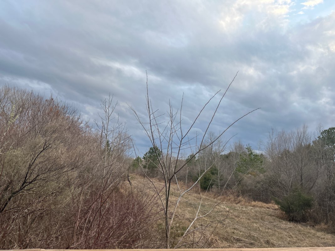 walking near me in Moss Creek Nature Preserve in spring