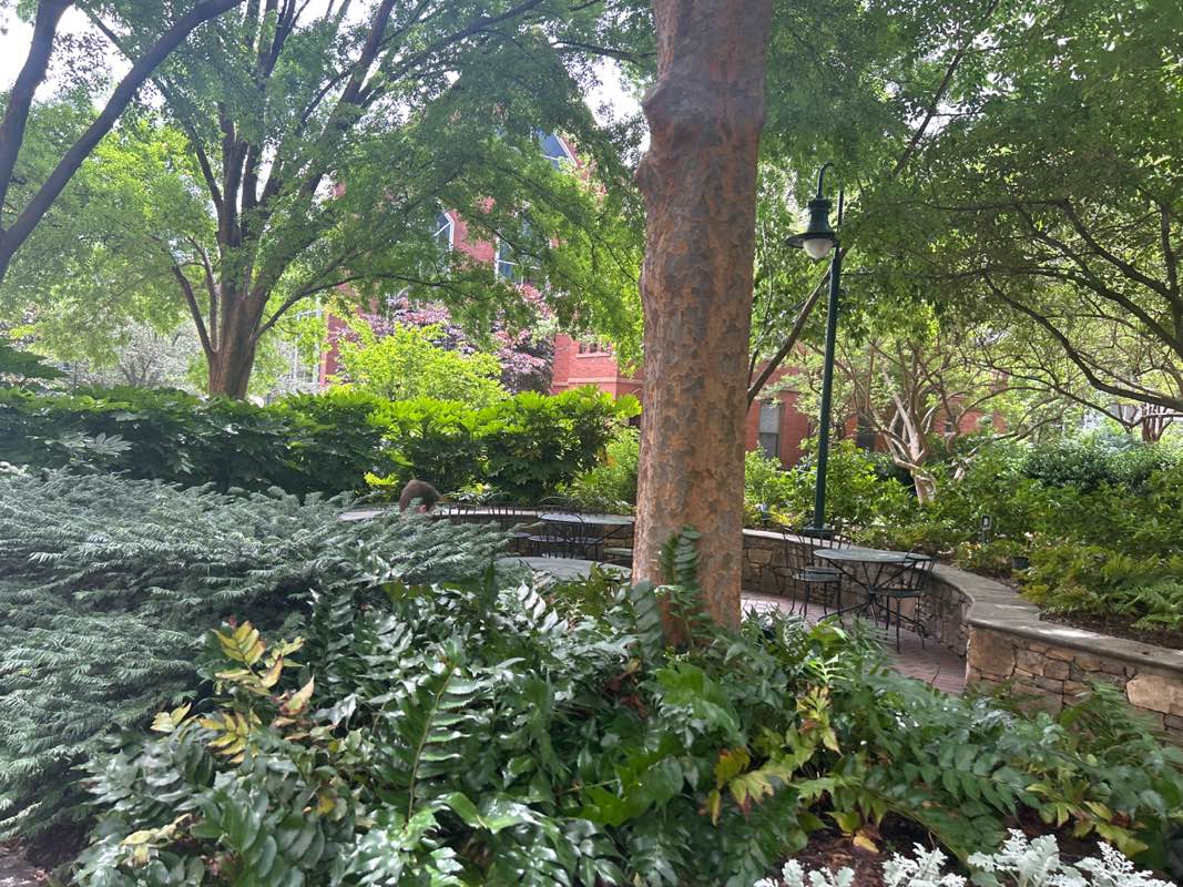 walking near me in The Green in spring