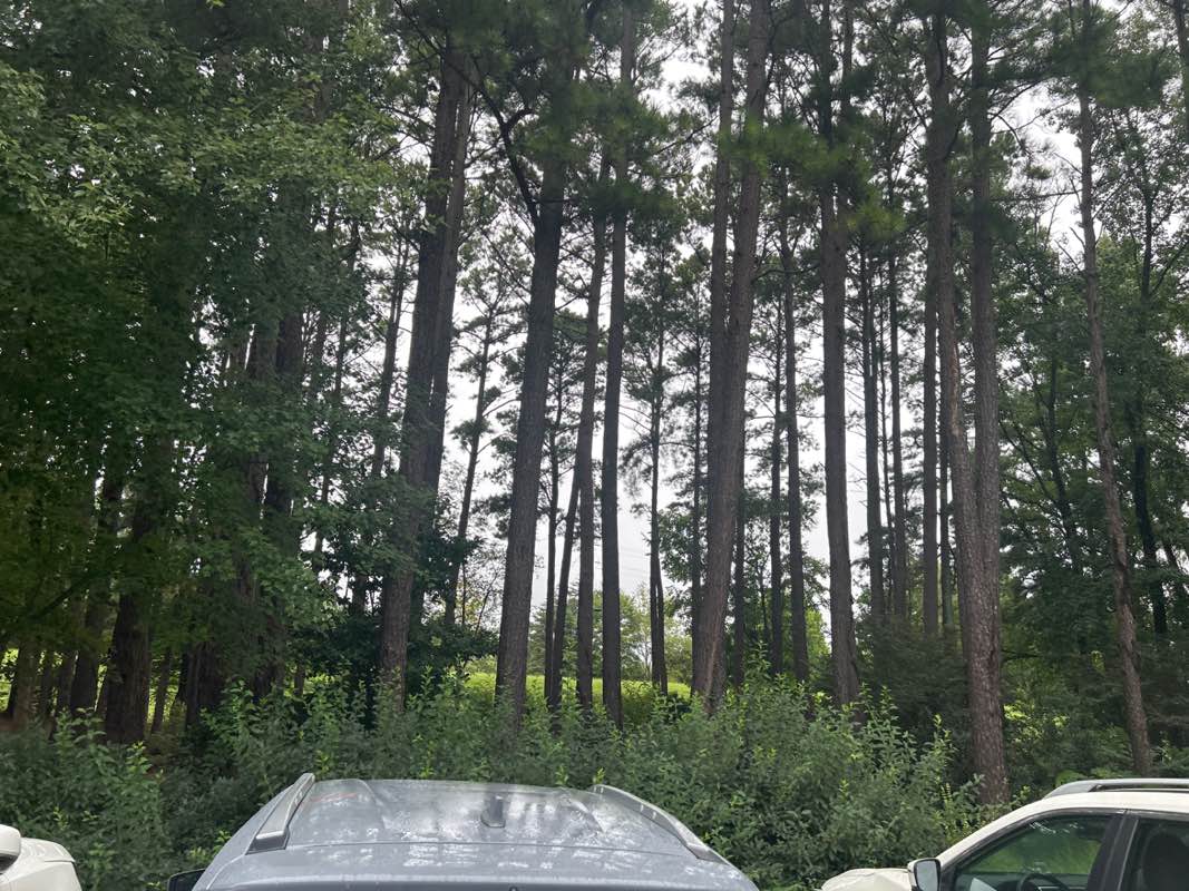 walking near me in Blythe Landing in autumn