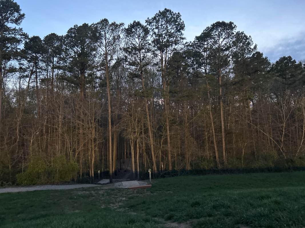 walking near me in Richard Barry Memorial Park in spring