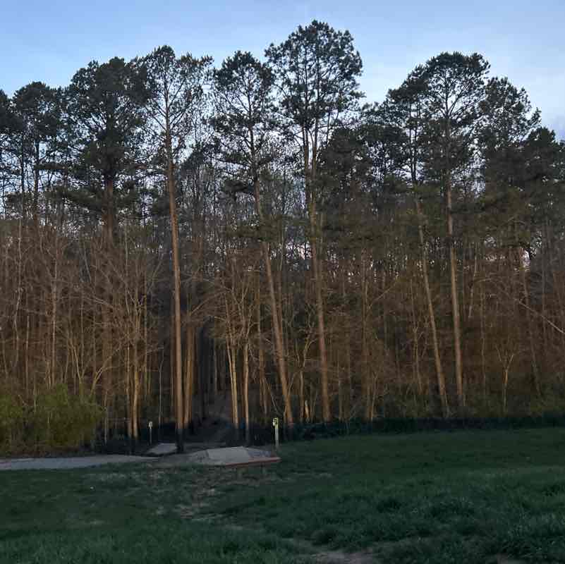 Suresh Alahari post 1