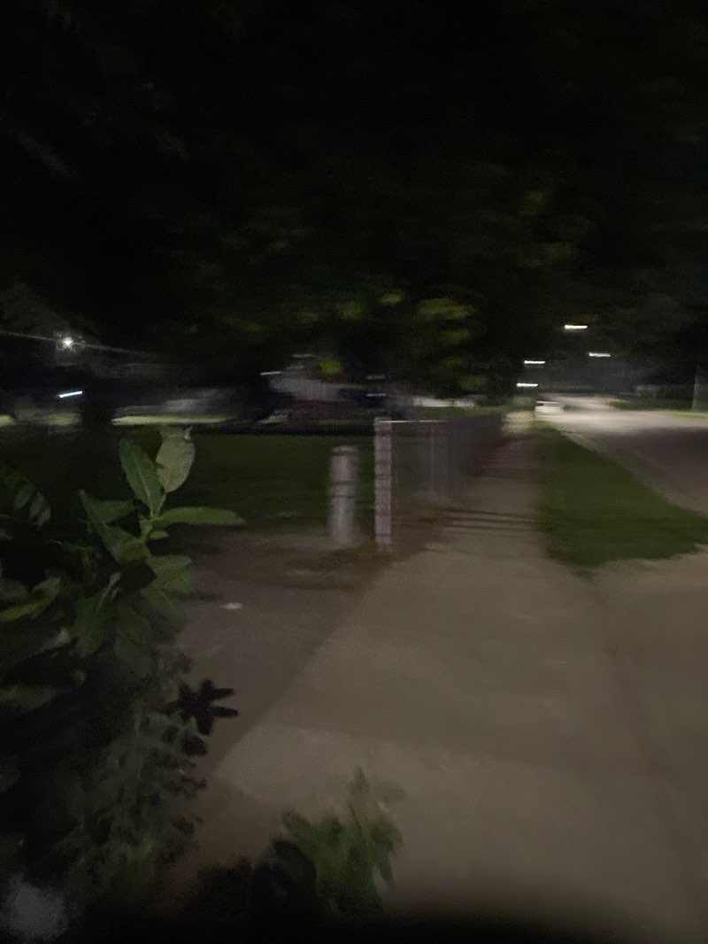 walking near me in Bishop Park in summer
