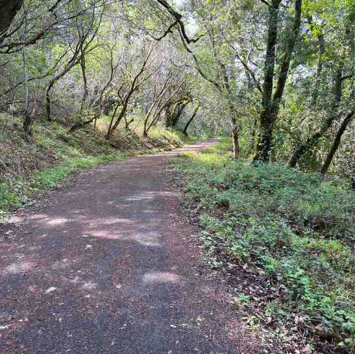 Millie Gottwald post 2