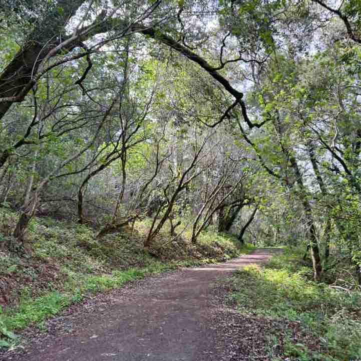 Millie Gottwald post 3