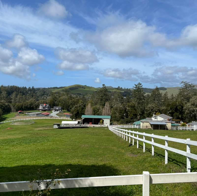 Millie Gottwald post 1