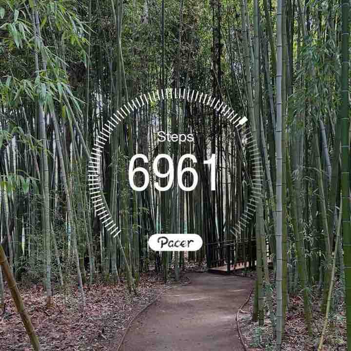 Millie Gottwald post 1