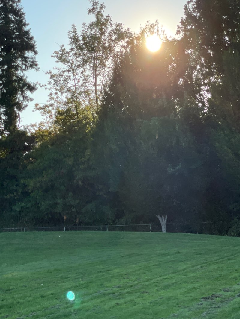 walking near me in Garfield City Park in winter