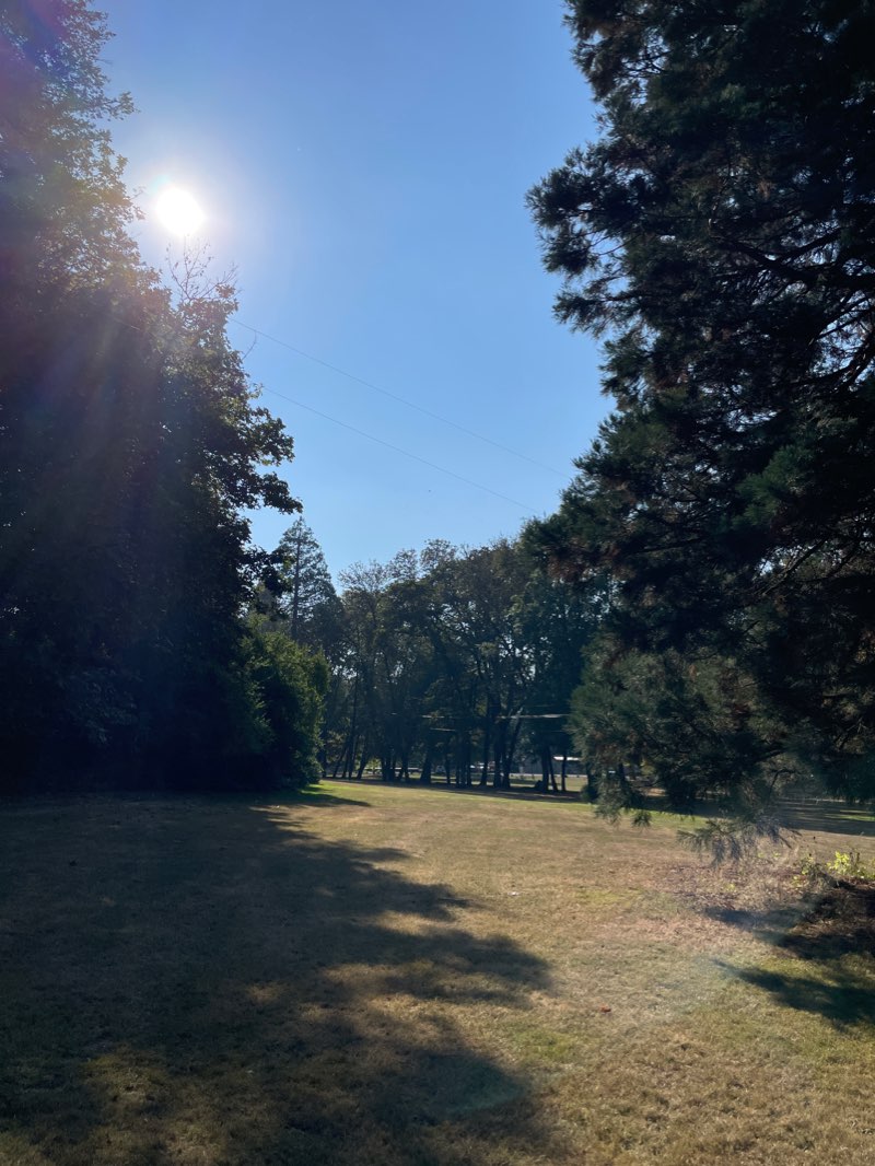 walking near me in Philomath City Park in winter