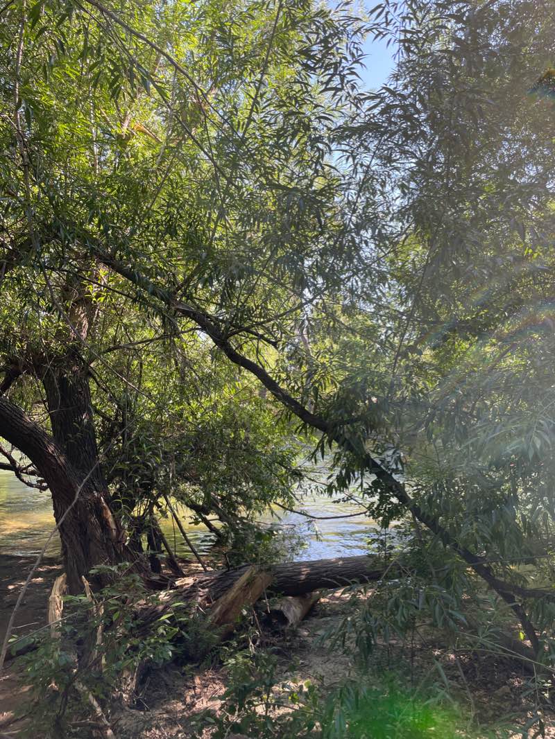 walking near me in Shoreline Park in winter
