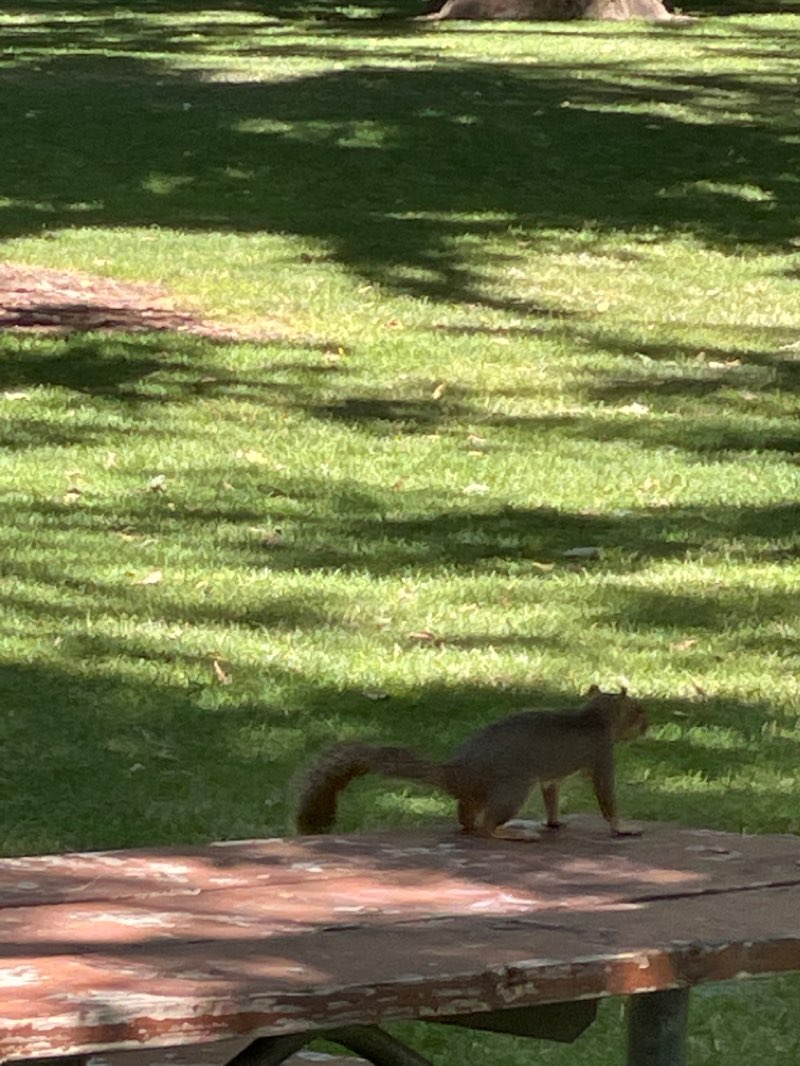 walking near me in Kristin Armstrong Municipal Park in winter