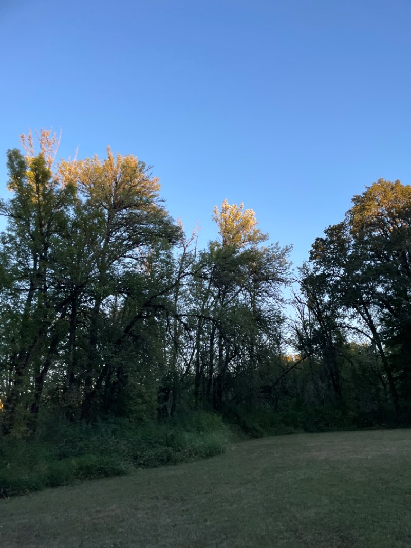 walking near me in Mary's River Park in winter