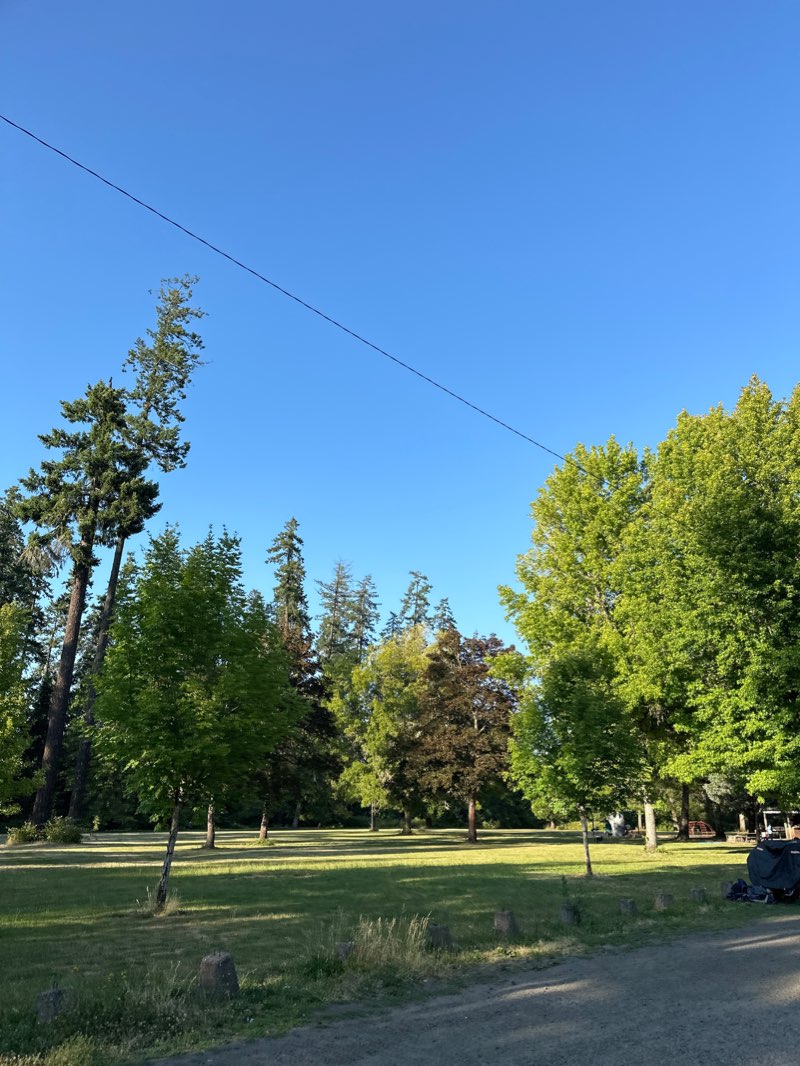 walking near me in Avery City Park in winter