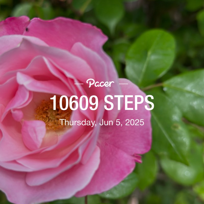 bashirfourjani post 1