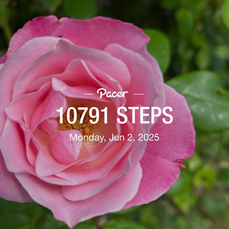 bashirfourjani post 1