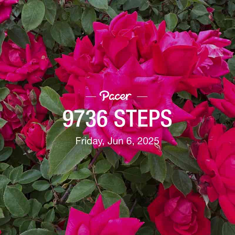 bashirfourjani post 1