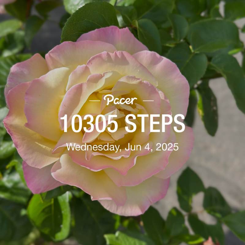 bashirfourjani post 1