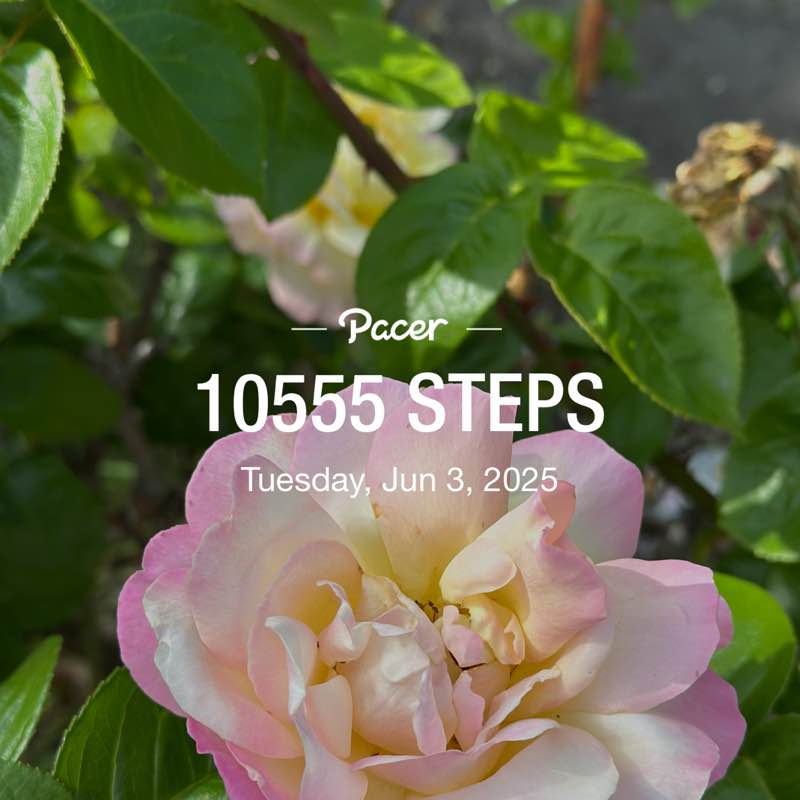 bashirfourjani post 1